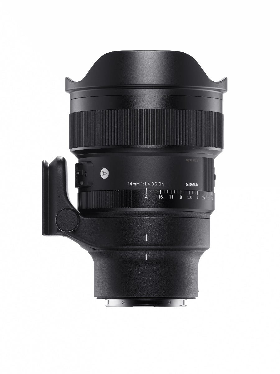 Sigma sony e shop mount