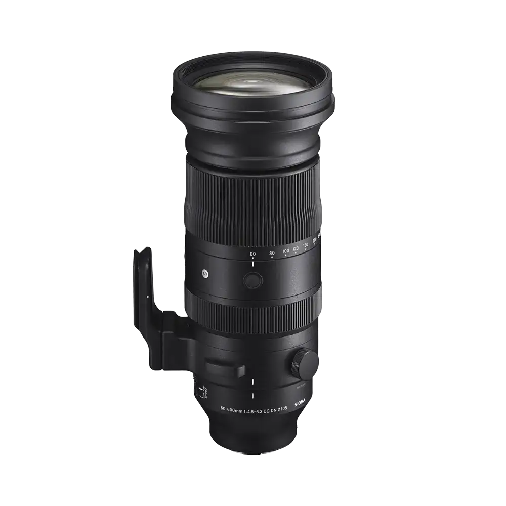 レンズ(ズーム) SIGMA 60-600mm F4.5-6.3DG OS HSM  sports Amazon | Sigma 60-600mm F4.5-6.3 DG OS HSM スポーツカメラ