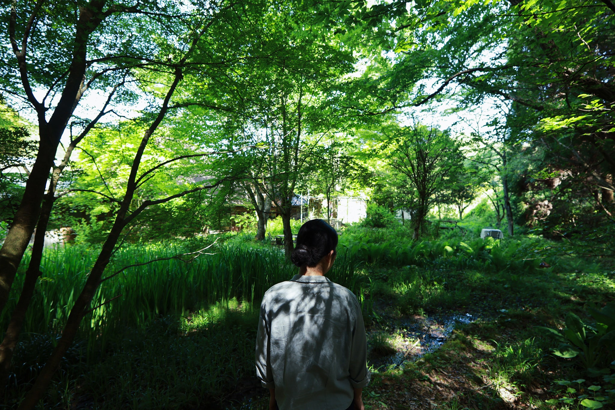 The Grass Garden